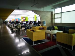 解析傲基國際與樂易購的供應鏈合作伙伴選擇標準