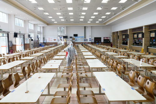 餐餐添香，楠傲承包——佛山三水工廠員工食堂的食材鮮味與品質承諾